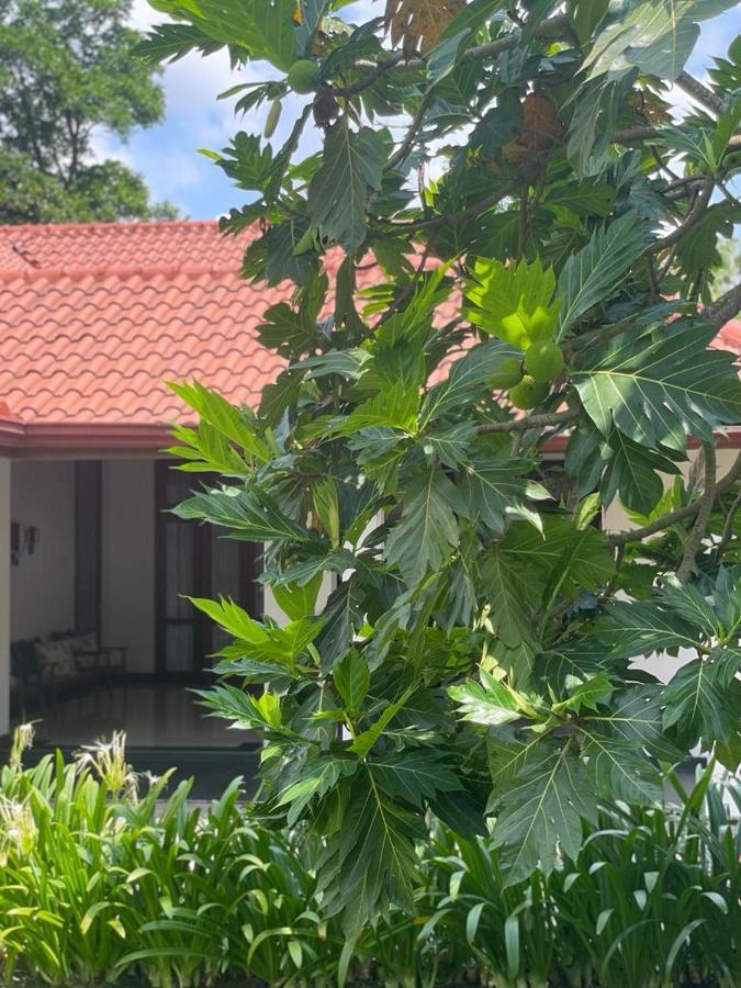 Villa Crystals Malabe Exterior photo